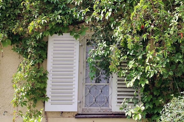 Fensterläden und Fenstergitter mt Muster